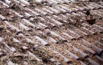 Kilmorack roof cleaning companies