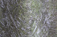 Kilmorack fibreglass roof work